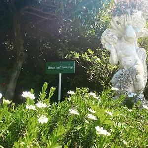 Il Motto Di Tommy Couette-café Castelveccana